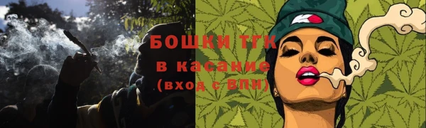 гашик Алексин