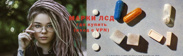 гашик Алексин