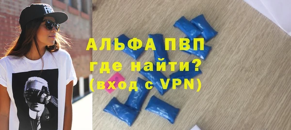 гашик Алексин