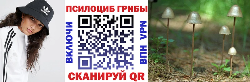 купить   ссылка на мегу ссылка  Псилоцибиновые грибы прущие грибы  Невьянск 